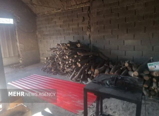 ۴ تن چوب وذغال بلوط قاچاق کشف شد