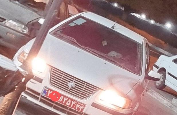 سگ گردانی با خودروی دولتی در بندرعباس