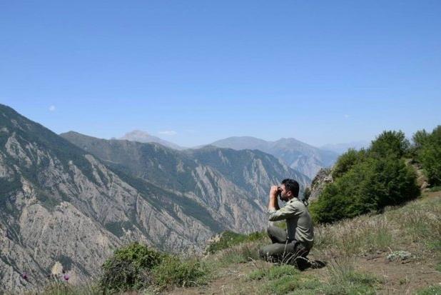 سختی و شیرینی‌های کار محیطبانی؛ قلب‌هایی که برای مرال می‌تپد