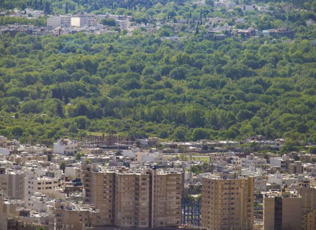 سیل ویرانگر تخریب باغات شیراز در طی سالیان گذشته