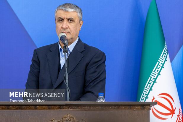 اسلامی: ساخت راکتور بومی با سوخت ایرانی در دستور کار است