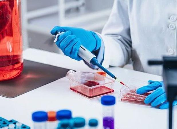 نیاز جدی بازار سلول‌درمانی کشور به محصولات مجاز