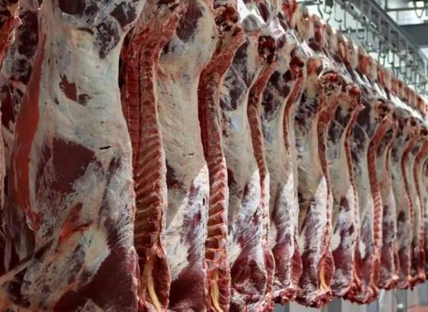 توزیع گوشت قرمز طبق روند روزانه در حال انجام است