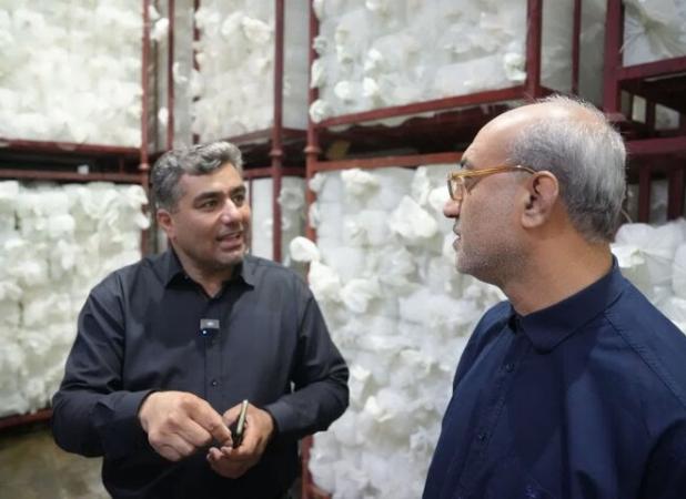 بازدید استاندار کرمانشاه از سردخانه بزرگ قصرشیرین