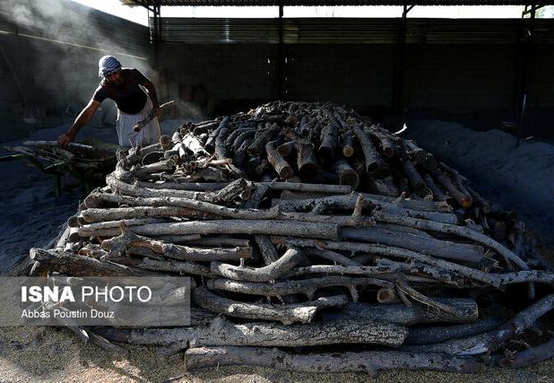 مسئول نمایندگی محیط‌زیست شهرستان: واحد تولید ذغال در درگزین تعطیل شد