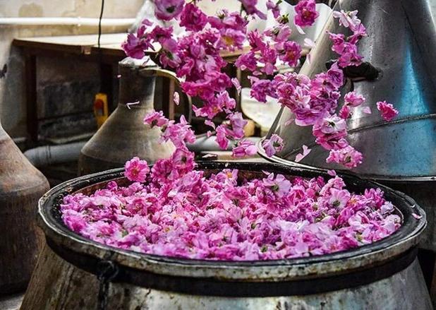 دیگ‌های مسی گلابگیری کاشان در پارک قیطریه به جوش می‌آیند