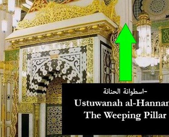 "حنانه"؛ درختی که در فراق پیامبر شیون کرد