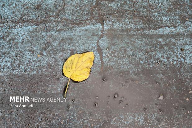 رحمان نیا: هشدار زرد هواشناسی در زنجان برای هفته آینده صادر شد