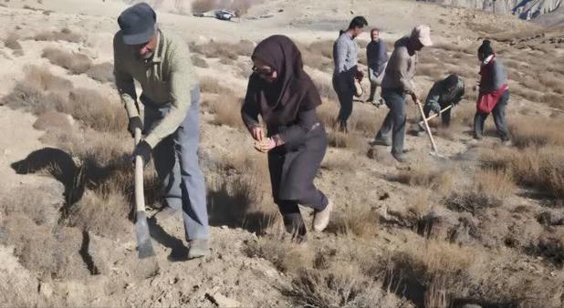 پویش کویر سبز در ۱۰۰۰ هکتار از اراضی استان سمنان