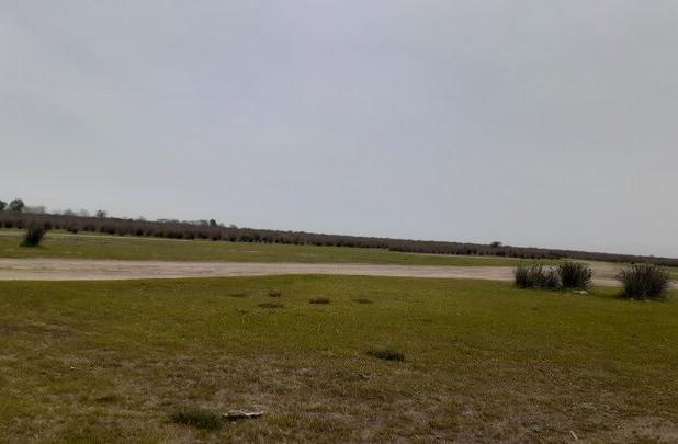 میانکاله سیراب می شود