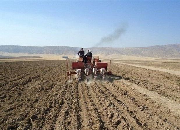 خاک ستون امنیت غذایی؛ آینده کشاورزی کرمانشاه بر شانه‌های خاک