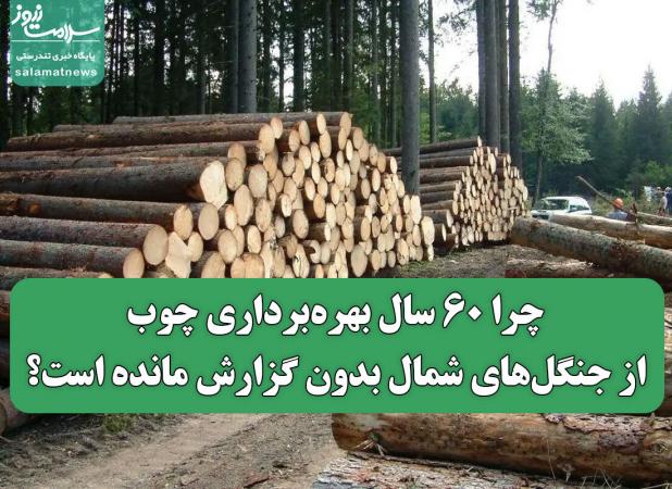 چرا ۶۰ سال بهره‌برداری چوب از جنگل‌های شمال بدون گزارش مانده است؟