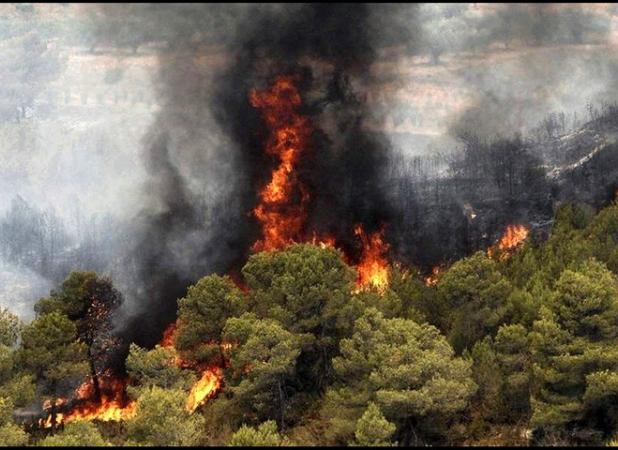 وزش باد گرم در گیلان از ظهر شنبه؛ منابع طبیعی هشدار داد