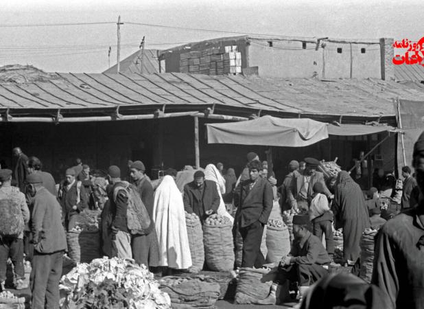 مرد تهرانی بخاطر حمله شپش‌ها کشته شد!