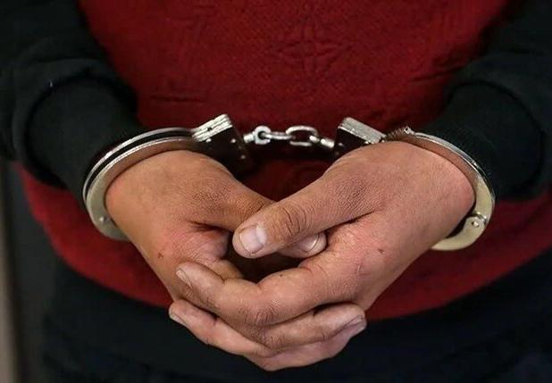 ضربه پلیس به باند سلاح، ارز و پلاک‌های جعلی