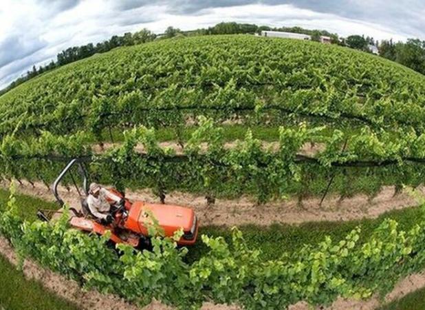 پایش لحظه ای و اجرای دقیق الگوی کشت در کشور