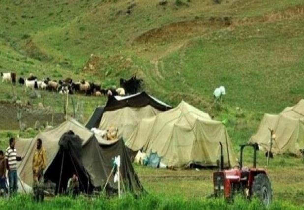 ادغام یا انحلال سازمان عشایری، مشکلات دامداران را تشدید می‌کند