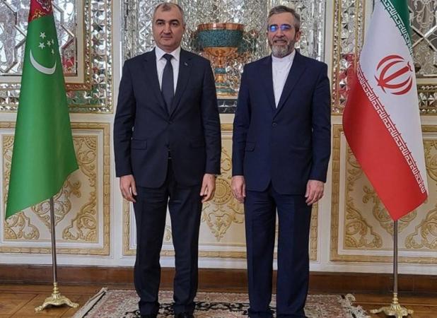 ملاقات معاون وزیر خارجه ترکمنستان با علی باقری