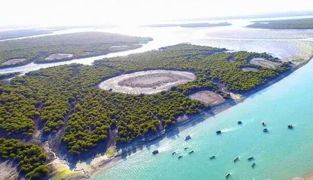 مدیرکل منابع طبیعی هرمزگان: جنگل‌های ساحلی سدی حیاتی در برابر ریزگردها و سیلاب‌ها هستند