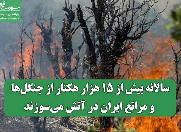 سالانه بیش از ۱۵ هزار هکتار از جنگل‌ها و مراتع ایران در آتش می‌سوزند