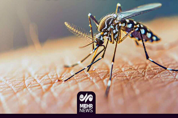 رئیسی: تب دنگی «ماهیتی اجتماعی» دارد