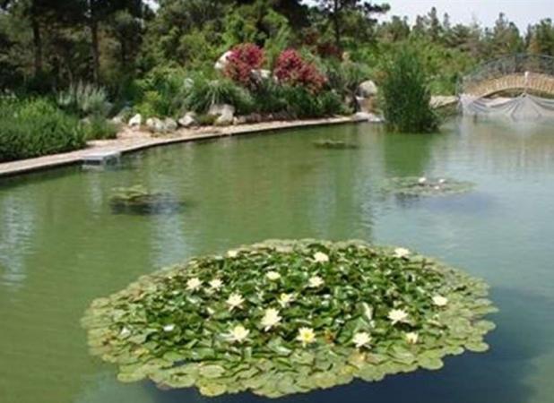 باغ گیاه‌شناسی کاشان در فهرست میراث طبیعی ملی ثبت شد