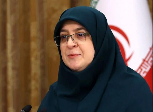 دولت مصمم به بازگشت اتباع غیرمجاز است