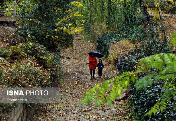 گیلان این هفته بارانی می‌شود؟