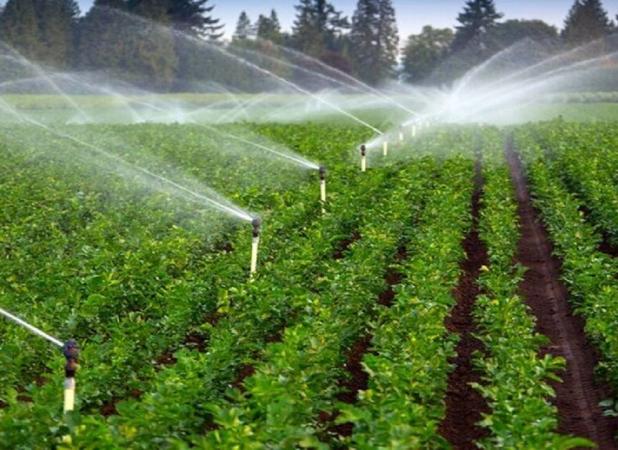 شناسنامه‌دار شدن مزارع و ساماندهی مصرف سموم؛ گام تازه در ایمنی غذا