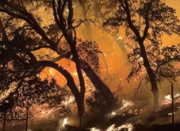 دستور تخلیه هزاران خانه در اورگان و کالیفرنیا به دلیل آتش سوزی‌های جنگلی