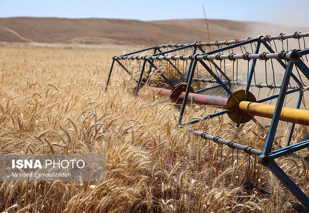 کشاورزی حفاظتی، راهی برای مقابله با تغییرات اقلیمی و حفظ امنیت غذایی در زنجان