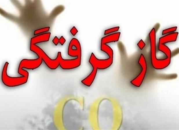 مسمومیت ۱۲ نفر با گاز مونوکسیدکربن در استان مرکزی
