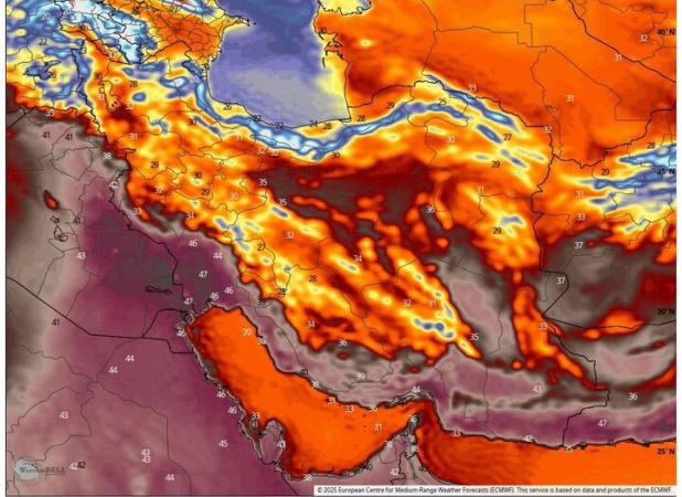 هشدار افزایش دما؛ احتمال تخریب محصولات کشاورزی در ۴ استان