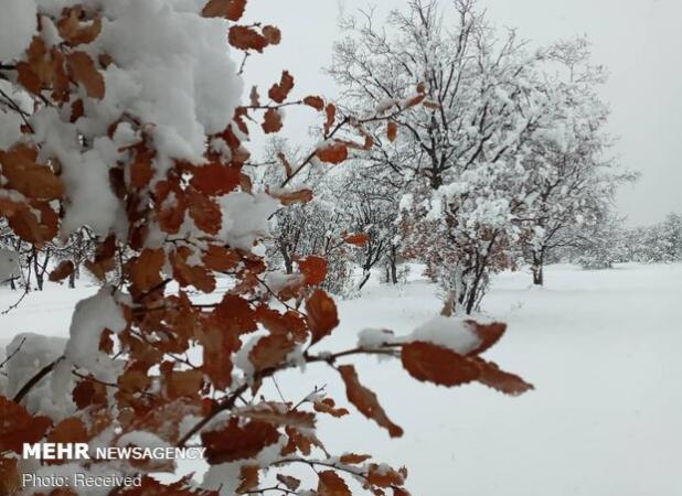 بارش تگرگ و برف خوزستان پیش بینی می شود