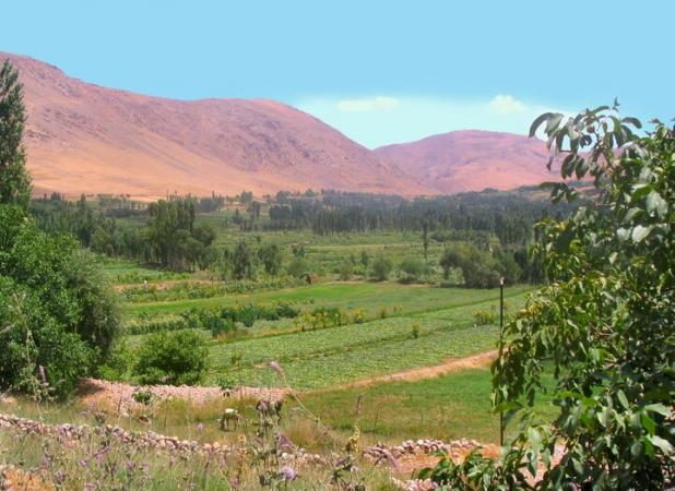 طبیعت‌گردی در میان شکوفه‌های سیب/ زیبایی سحر انگیز بهار در بروجرد