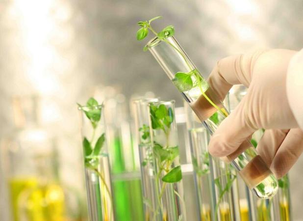 امنیت غذایی پایدار با حفظ تنوع زیستی و منابع ژنتیکی
