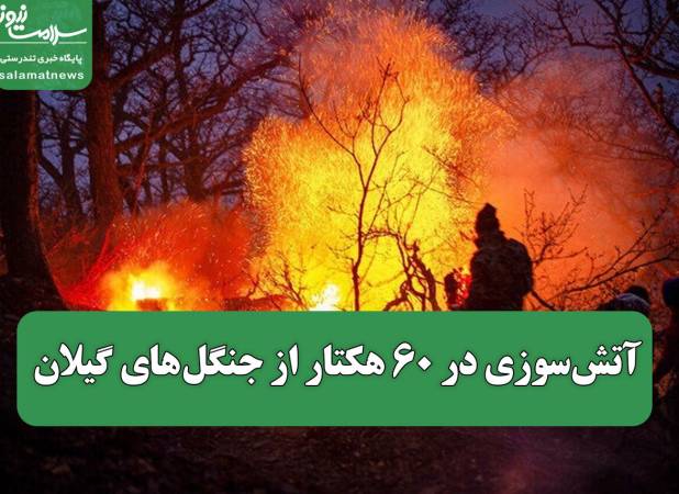 آتش‌سوزی در ۶۰ هکتار از جنگل های گیلان