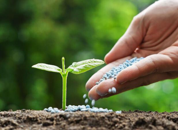 قلی پور: اجرای طرح توسعه کشاورزی حفاظتی در مرکزی هدفگذاری شد