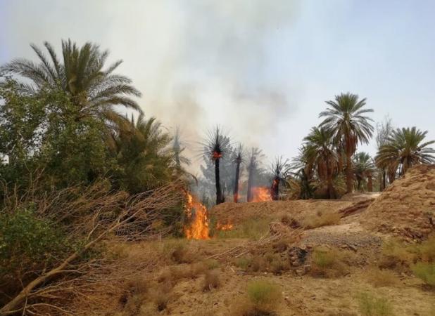 روستاهای جنوبی خوروبیابانک ایستگاه آتش‌نشانی ندارد/سوختن ۱۵۰۰ نخل