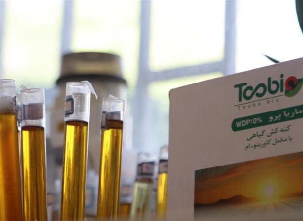 ساخت ۲ آفت‌کش گیاهی نانویی برای صنعت پسته ایران