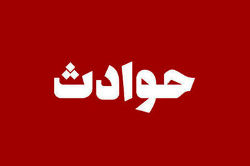 سارقان ۱۸۰میلیارد تومانی از یک خانه پس از ۶ سال لو رفتند