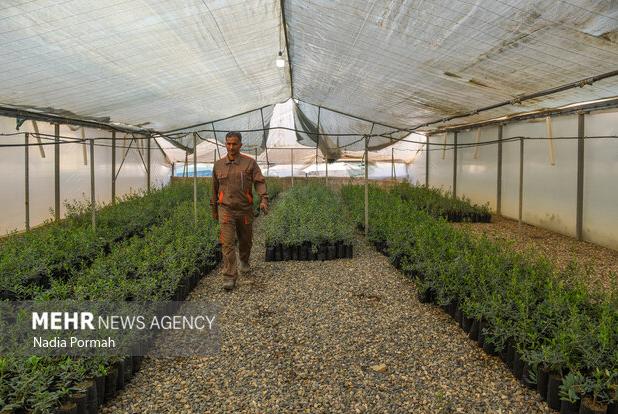 تخصیص بیش از  ۷ میلیارد تومان اعتبار برای پروژه‌های آب‌رسانی در باشت