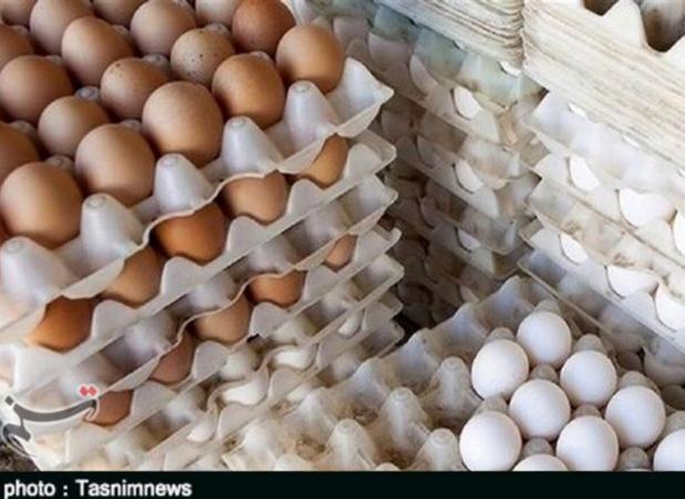تخم‌مرغ‌های وارداتی وارد بازار شد/ اعلام قیمت مصوب انواع تخم‌مرغ بسته‌بندی