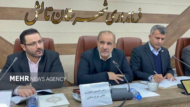 عسکری: کیوی فرصت طلایی ایران برای صادرات به روسیه و قفقاز است