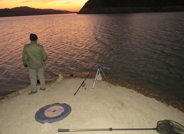 رهاسازی یک بوتیمار بزرگ در طبیعت/ برخورد با صیادان غیرمجاز سد دامغان