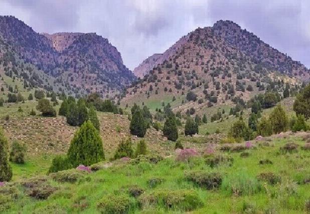 وجود ۶۰۰ گونه گیاهی و جانوری در سیزدهمین ذخیرگاه زیست کره