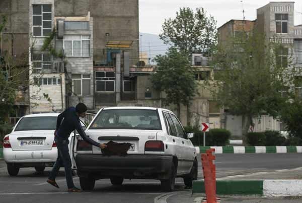 جهش کم‌سابقه تخلفات پلاک در تهران؛ اعمال قانون ۵۳۵ هزار خودرو