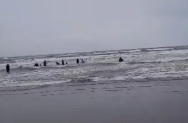 هشدار هواشناسی دریایی و اعلام وضعیت سطح نارنجی