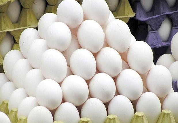 افت ۶۰ تا ۷۰ تنی تولید تخم مرغ در خراسان رضوی به دلیل اختلال در تأمین نهاده‌ها
