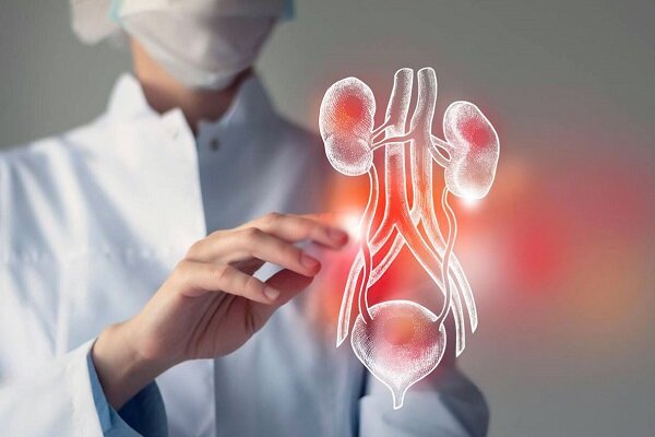 موفقیت پژوهشگران ایرانی در درمان غیرتهاجمی مثانه بیش‌فعال با تحریک مغز